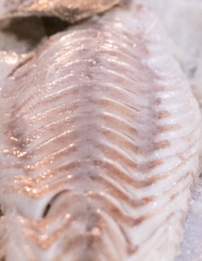 La Marquesina pescado a la sal
